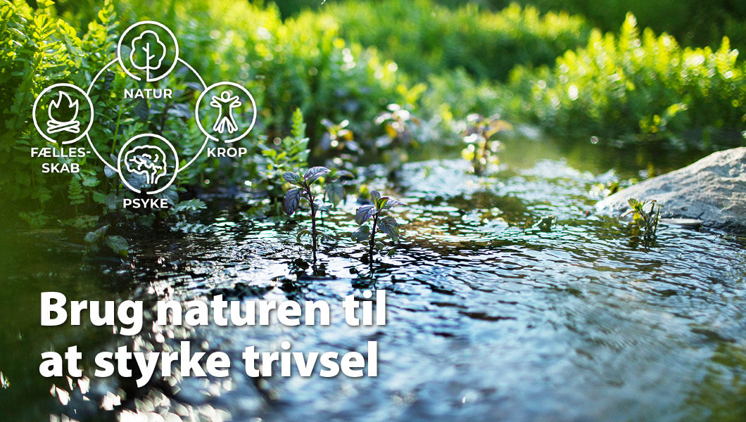 Grunduddannelse i naturterapi